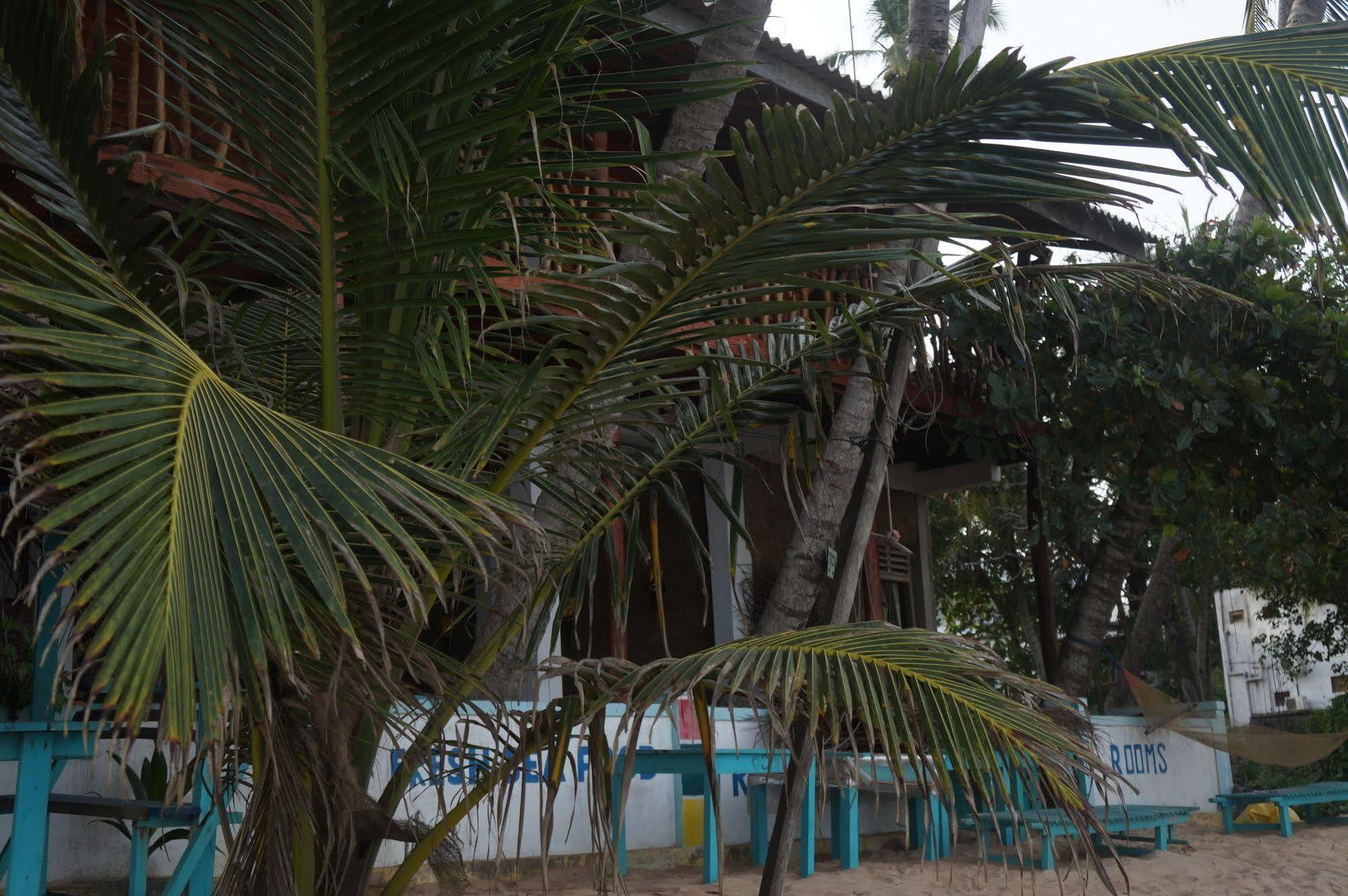 Dinuliya Hotel & Bungalow Tangalle Extérieur photo